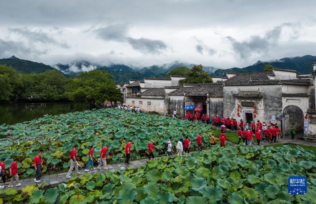 打鱼助手哪里有